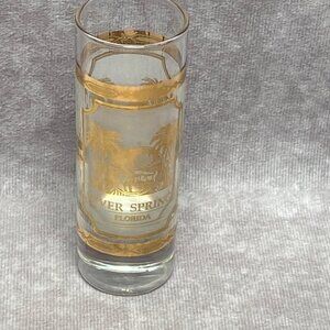 Vintage Culver Silver Springs Florida Souvenir Tall Shot Glass With Gold